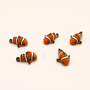 Clownfish
